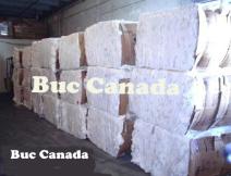 Buc Canada  Click To Enlarge